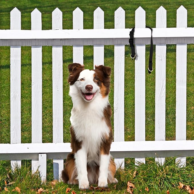 PetSafe KeepSafe Collar for Dogs - Image 2