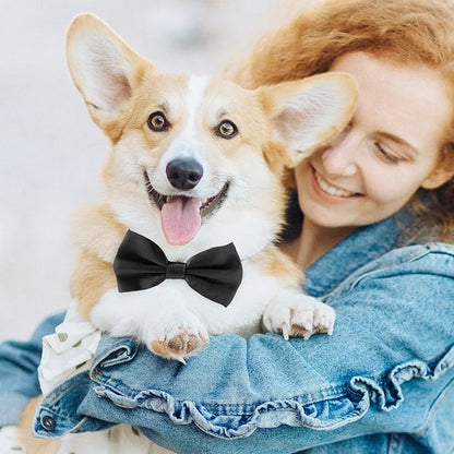 Black Bow Tie for Dogs, KOOLMOX Adjustable Dog Bow Tie Collar for Medium and - Image 6
