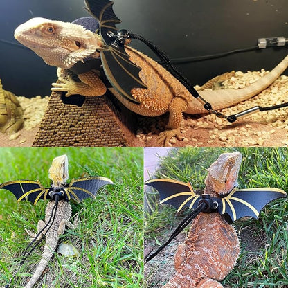 Bearded Dragon Carrier with Harness and Leash Set Large Small Animal Carrier - Image 5