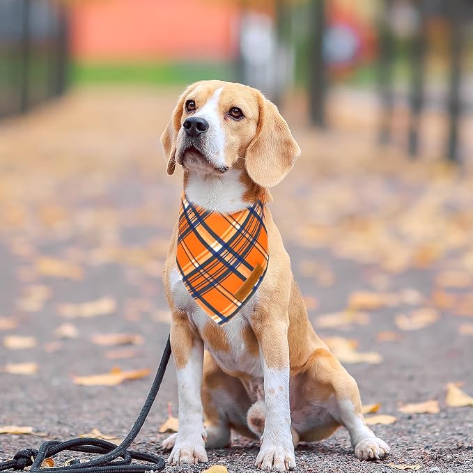 Realeaf Fall Dog Bandanas 2 Pack, Reversible Pet Scarf - Image 6