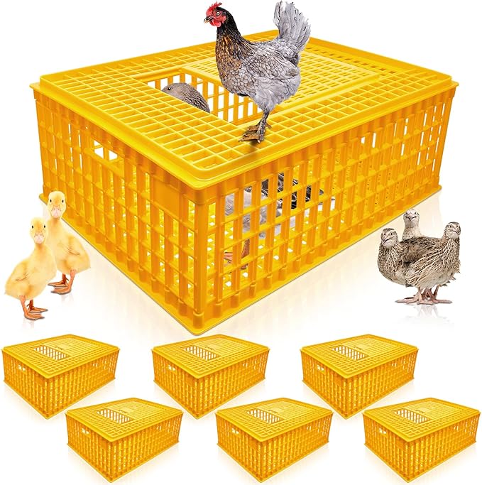 Sintuff Poultry Carrier Crate Plastic Chicken Transport Cage Bird Carriers by Sintuff