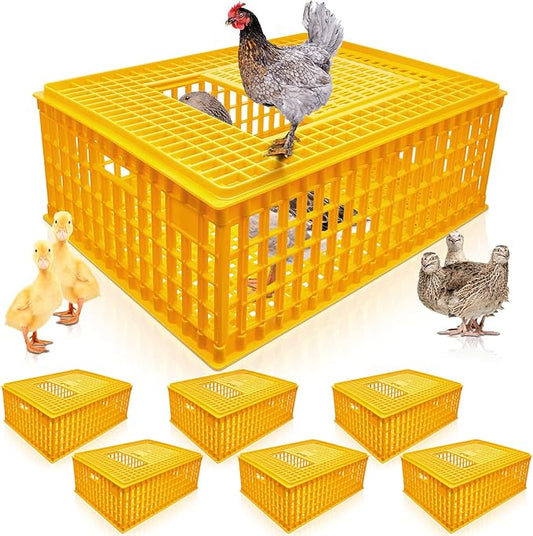 Sintuff Poultry Carrier Crate Plastic Chicken Transport Cage Bird Carriers by Sintuff