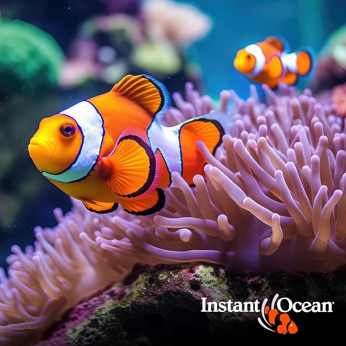 Instant Ocean Sea Salt for Marine Fish Tank Aquariums, Nitrate & Phosphate-Free - Image 8