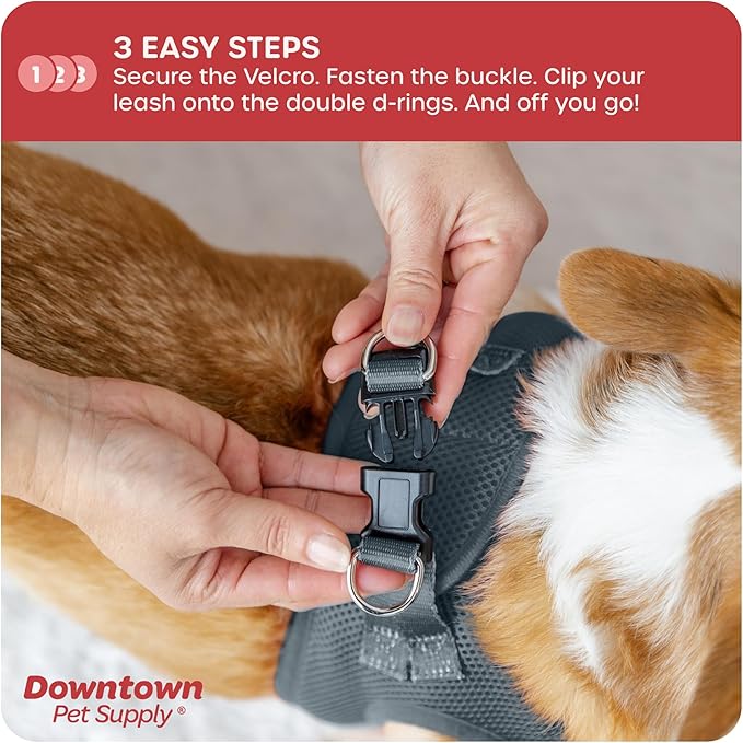 Downtown Pet Supply Step in Dog Harness - Image 5