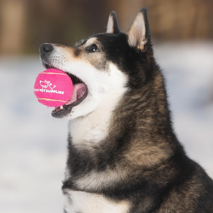 Best Pet Supplies Interactive Squeaky Dog Chew Toy, Ideal Dog Toys - Image 7