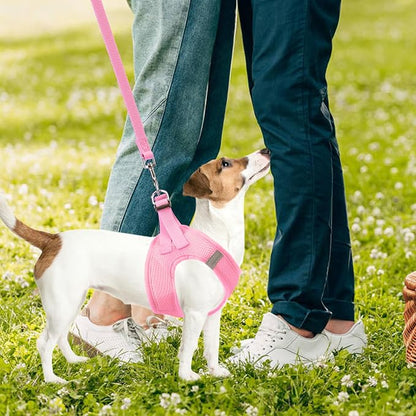 PUPTECK Adjustable Dog Harness Collar and Leash Set Step in No Pull Pet Harness - Image 7