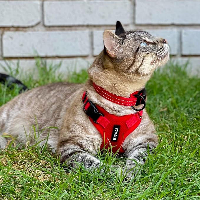 Voyager Escape-Proof Step-in Lock Cat Harness & 5ft Neoprene-Handle Leash Set - Image 6