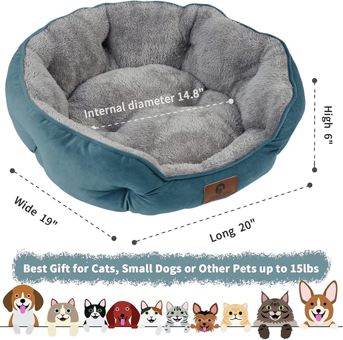 Asvin Small Dog Bed for Small Dogs, Cat Beds for Indoor Cats, Pet Bed for Puppy - Image 3