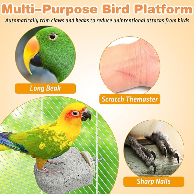 PINVNBY 8 PCS Bird Perch Bird Beak Grinding Stone Calcium Mineral Parrot Perch - Image 5