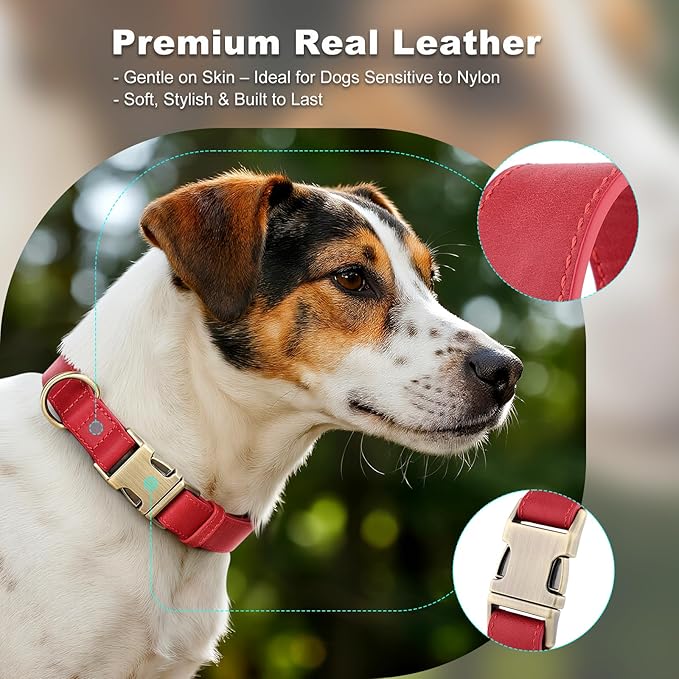 Plutus Pet Genuine Leather Dog Collar – Adjustable Pet Collar - Image 3