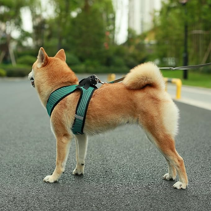 Best Pet Supplies Voyager Step-in Air Harness - Image 7