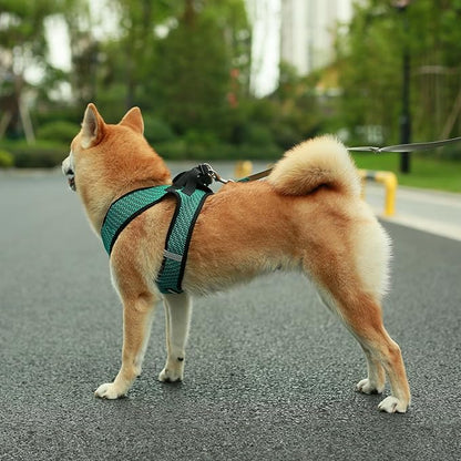 Best Pet Supplies Voyager Step-in Air Harness - Image 7