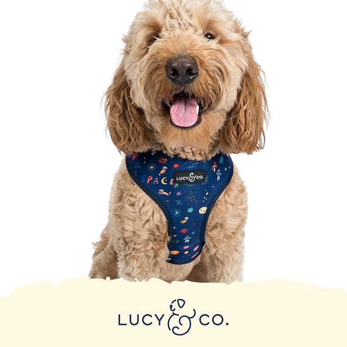 Lucy & Co. Space Doodle, Cute Reversible Dog Harness Walking Halter - Image 5