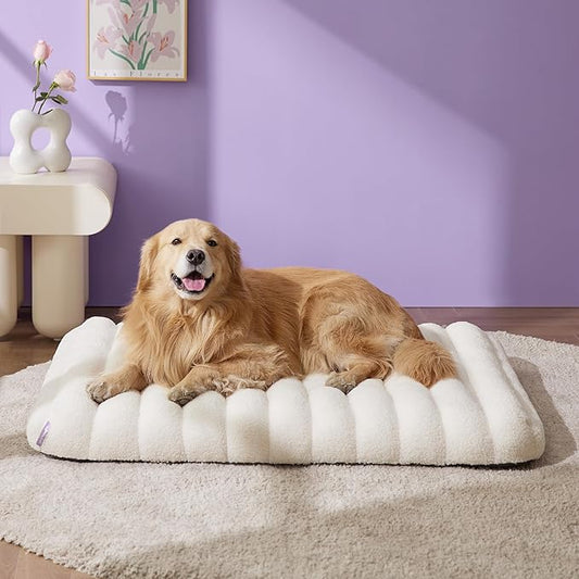 LE SURE Cute Orthopedic Dog Bed - Image 2