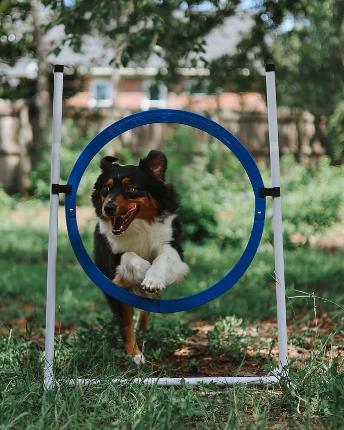 Better Sporting Dogs Premium Starter Dog Agility Set w/Safety-Focused Features - Image 8
