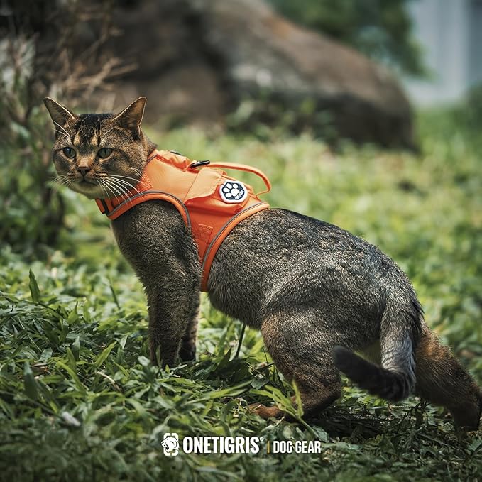 OneTigris Cat Harness and Leash - Image 9