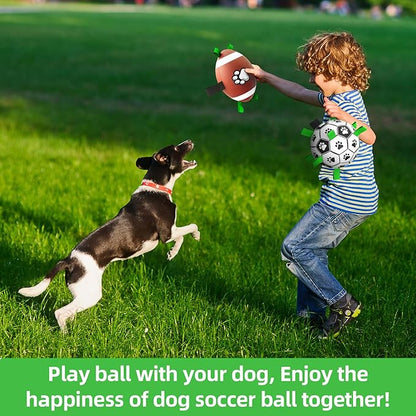 QDAN Dog Soccer Ball Football Basketball Set - Image 4