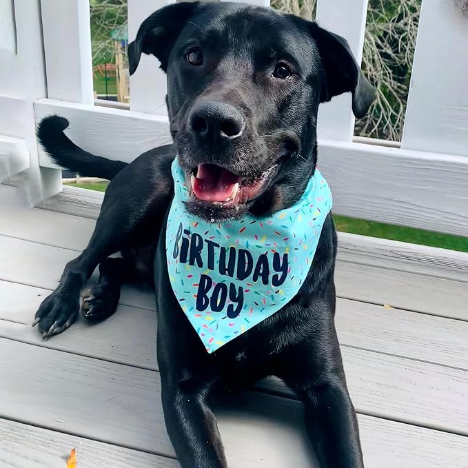 Birthday Boy Dog Bandanas 1 Pack, HBD Pet Scarves - Image 8