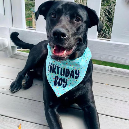 Birthday Boy Dog Bandanas 1 Pack, HBD Pet Scarves - Image 8