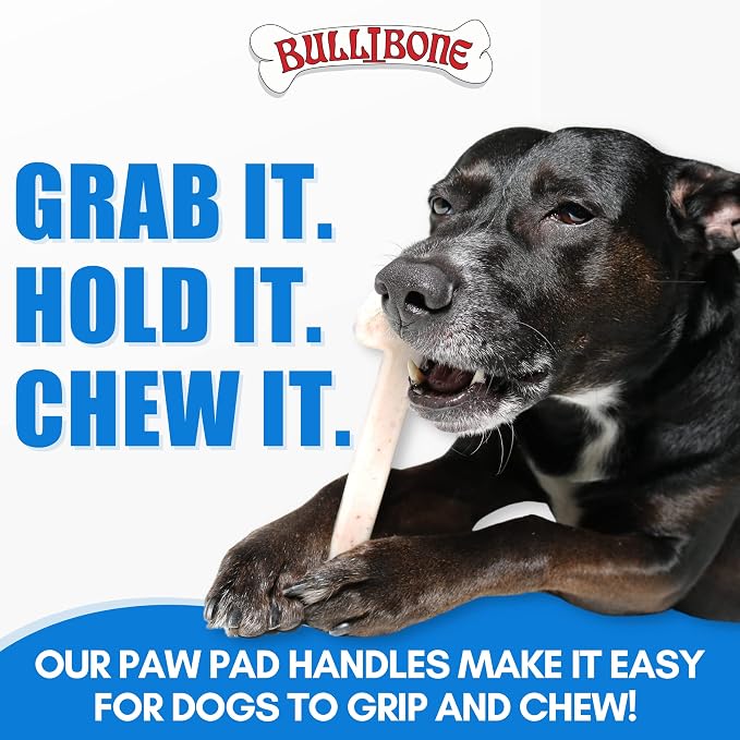 Bullibone Nylon Dog Chew Toy for Aggressive Chewers - Image 6