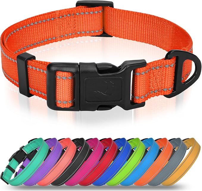 Joytale Small Dog Collar, Reflective and Adjustable Nylon Collar by Joytale