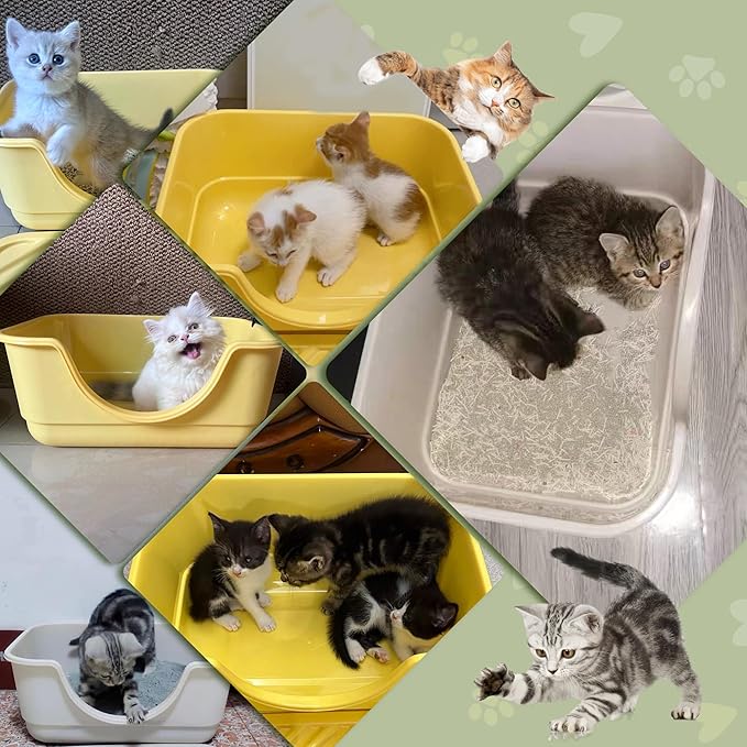 2 Pack Low Entry Small Litter Box - Image 7