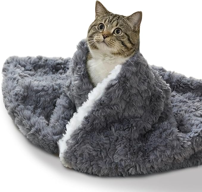 Cat Blanket for Indoor Cats by NODARKO