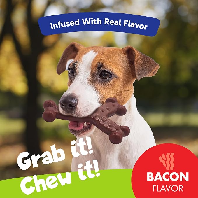 Chew'ems Durable Chew Toys for Small Dogs | Safe, Long-Lasting & Flavorful Chew - Image 2