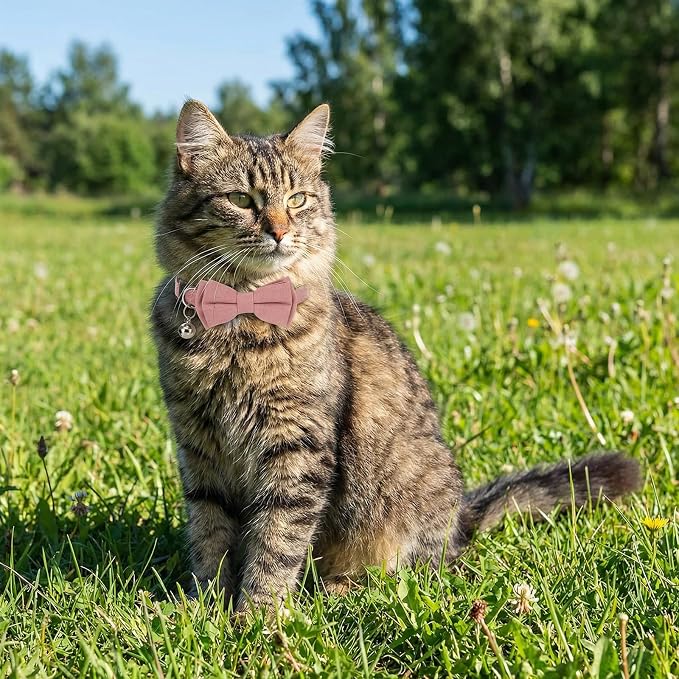 Cat Girl Collar Breakaway Bowtie - Image 8