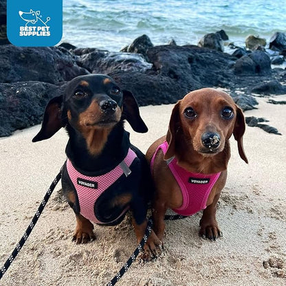 Best Pet Supplies Voyager Step-in Air Harness - Image 10