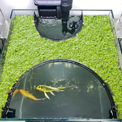 Floating Plant Corral for Aquarium, Fish Tank Accessories to Protects Duckweed by Unknown