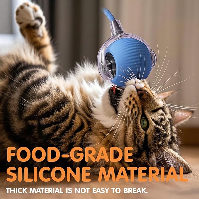 Rocfish Durable Interactive Cat Toys - Image 5