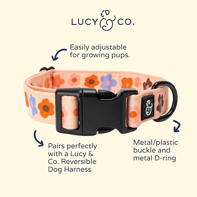 Lucy & Co. Let's Groove Dog Collar - Image 2