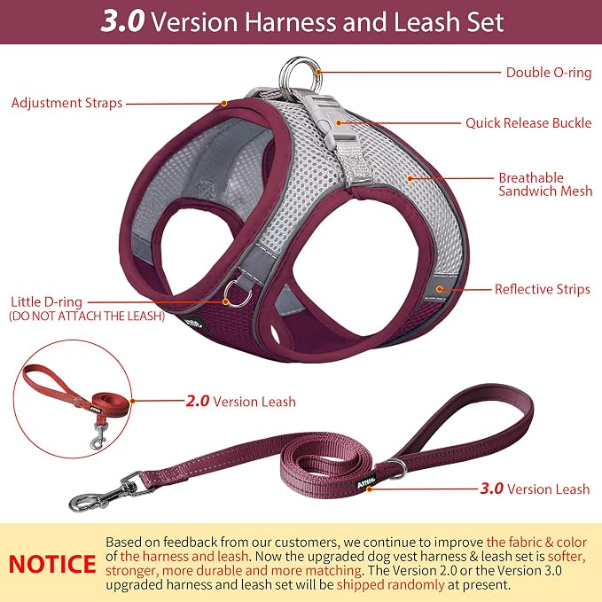 AIITLE Step in Dog Harness and Leash Set - Image 4
