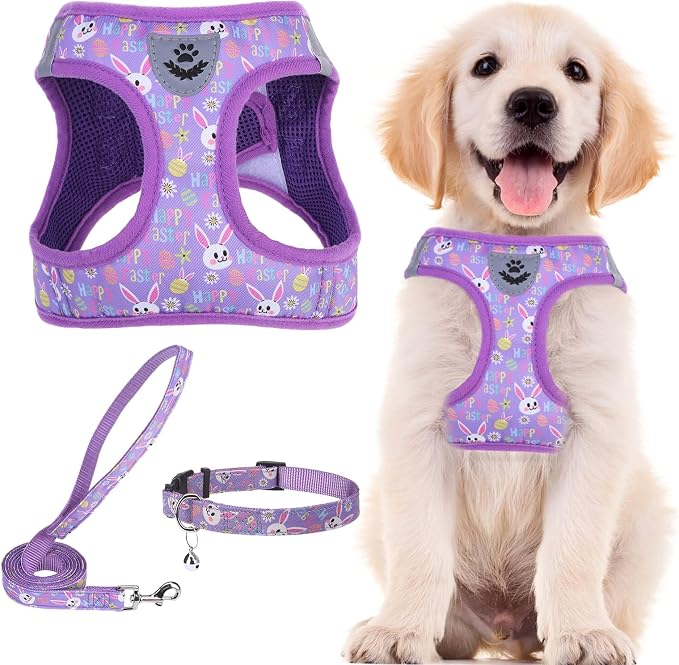 PUPTECK Adjustable Dog Harness Collar and Leash Set Step in No Pull Pet Harness by PUPTECK