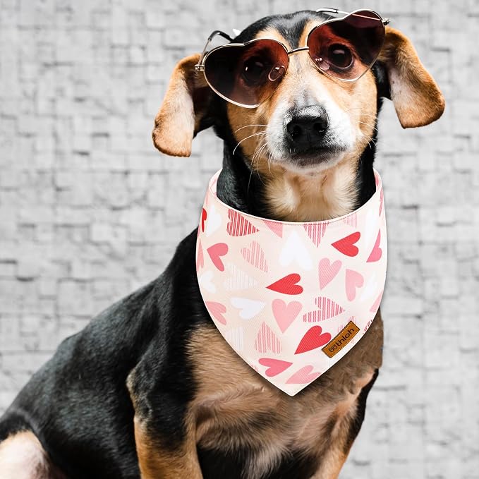 Valentines Dog Bandanas with Snap Button - Image 3