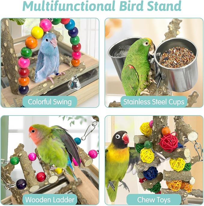 PINVNBY Bird Playground Natural Wood Parrot Perch Stand Bird Play Gym Colorful - Image 6