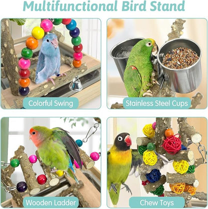 PINVNBY Bird Playground Natural Wood Parrot Perch Stand Bird Play Gym Colorful - Image 6