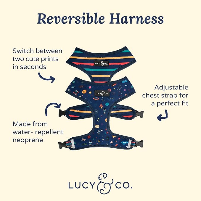 Lucy & Co. Space Doodle, Cute Reversible Dog Harness Walking Halter - Image 2