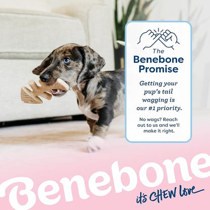 Benebone Puppy Fishbone Dog Chew Toys, Softer - Image 6