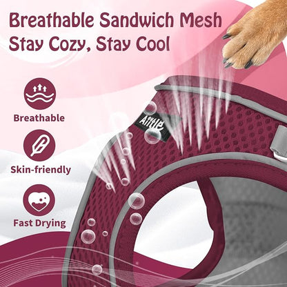 AIITLE Step in Dog Harness and Leash Set - Image 9