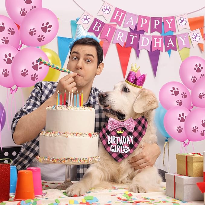 Dog Birthday Party Supplies, Dog Birthday Hat Bandana Scarf - Image 6