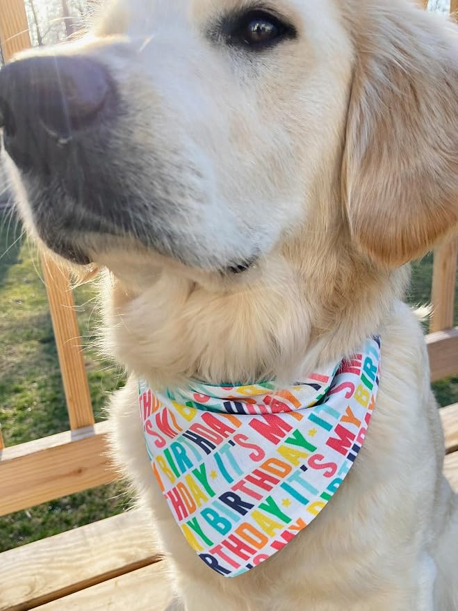 Birthday Dog Bandanas 1 Pack, Colorful HBD Dog Scarfs - Image 2