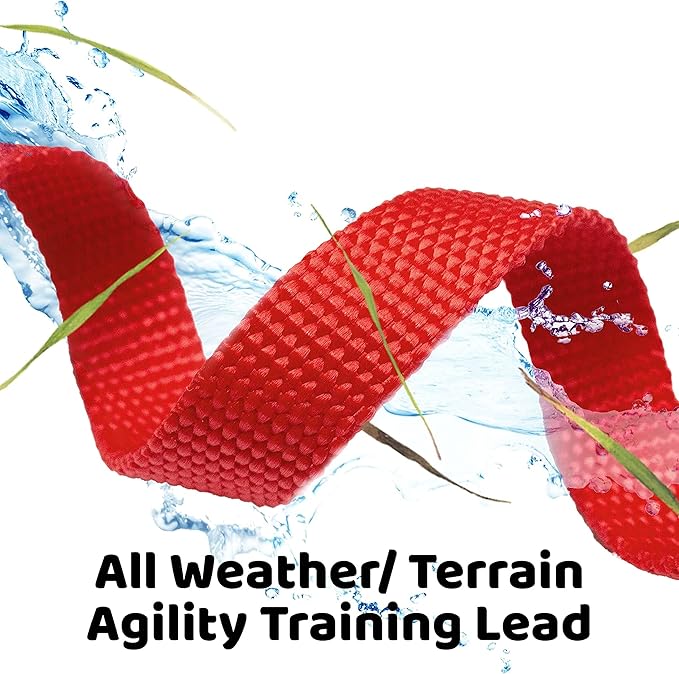 Long Dog Puppy Obedience Recall Training Agility Lead, Leash GREEN, or ORANGE - Image 4