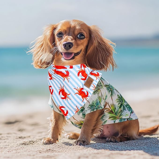 JarThenaAMCS 2Pcs Sea Dog Bandana Summer Ocean Animal Theme Triangle Pet Scarf - Image 5