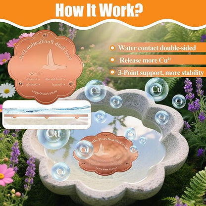 2P 4inches Bird Bath Purification Disk, 99.99% Pure Copper Bird Bath Disc Safe - Image 5