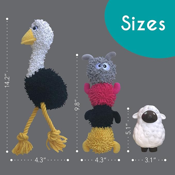 rocket & rex Dog Chew Toy Set for Small to Medium Breeds, Includes a Rope Toy - Image 5