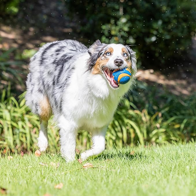 Chuckit! Ultra Ball Dog Toy - Image 3