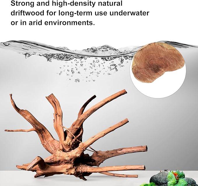 majoywoo Natural Large Driftwood - Image 3