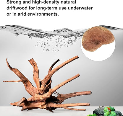majoywoo Natural Driftwood for Aquarium Decor Fish Tank Decorations, Reptile - Image 3
